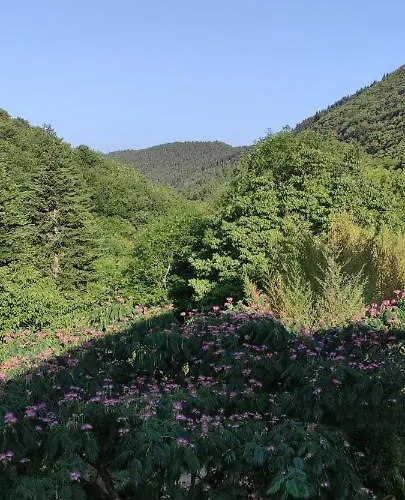 La Maison Do * Lunas (Herault)