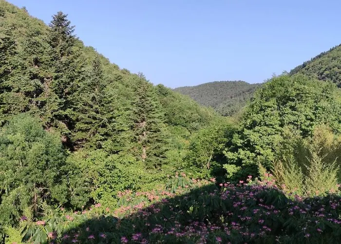 La Maison Do Casa de hóspedes Lunas (Herault)